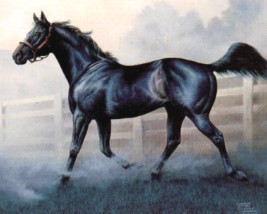 equineequityblackbeautyx300.jpg